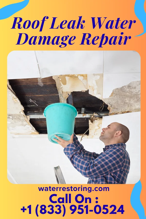 Roof Leak Water Damage Repair in Morrison, TN