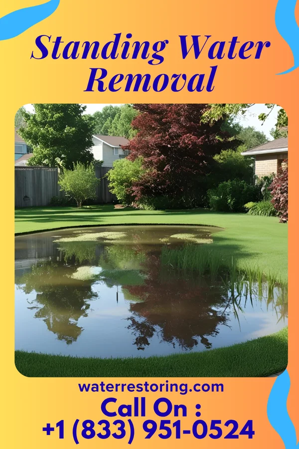Standing Water Removal in Morrison, TN